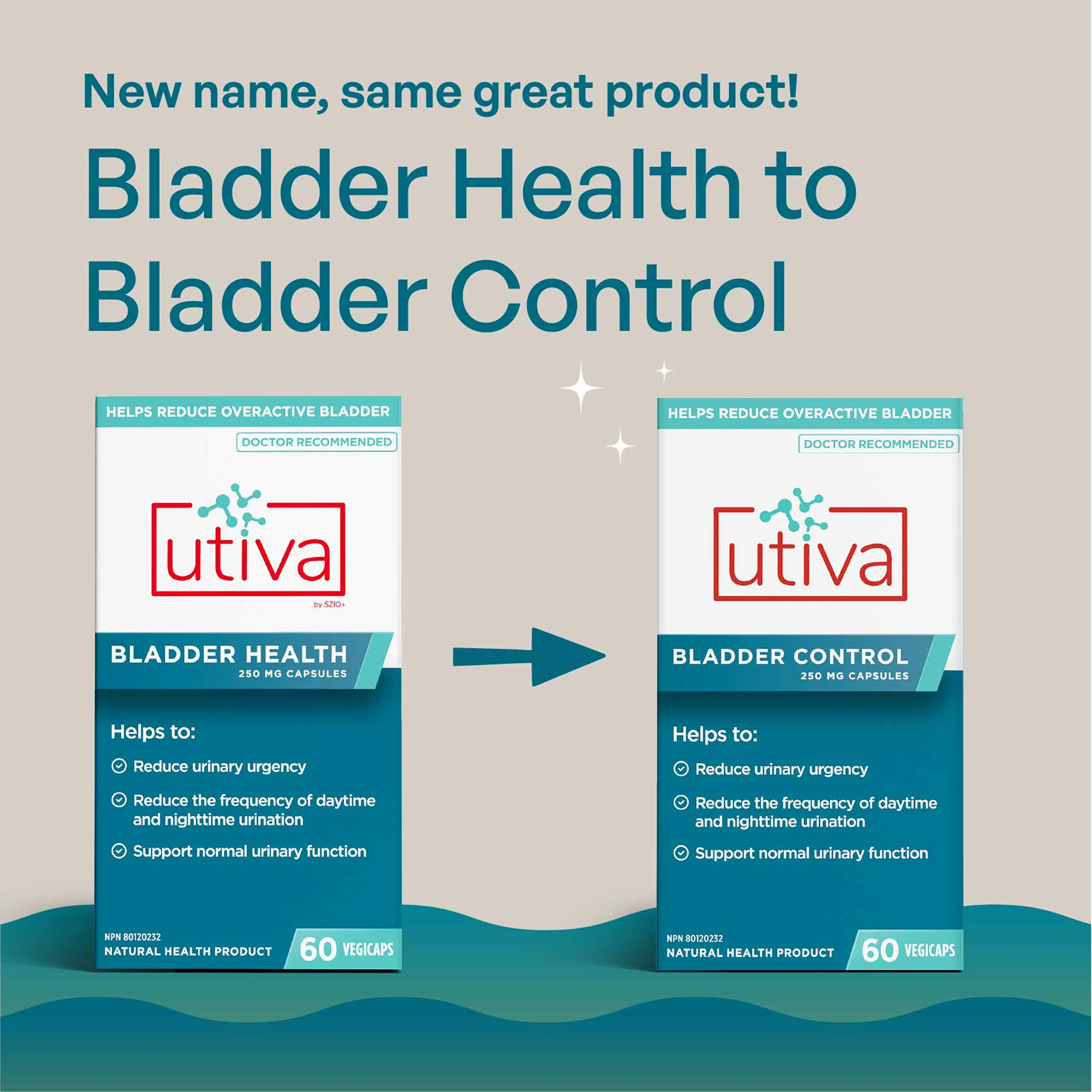 Bladder Control - Image 12