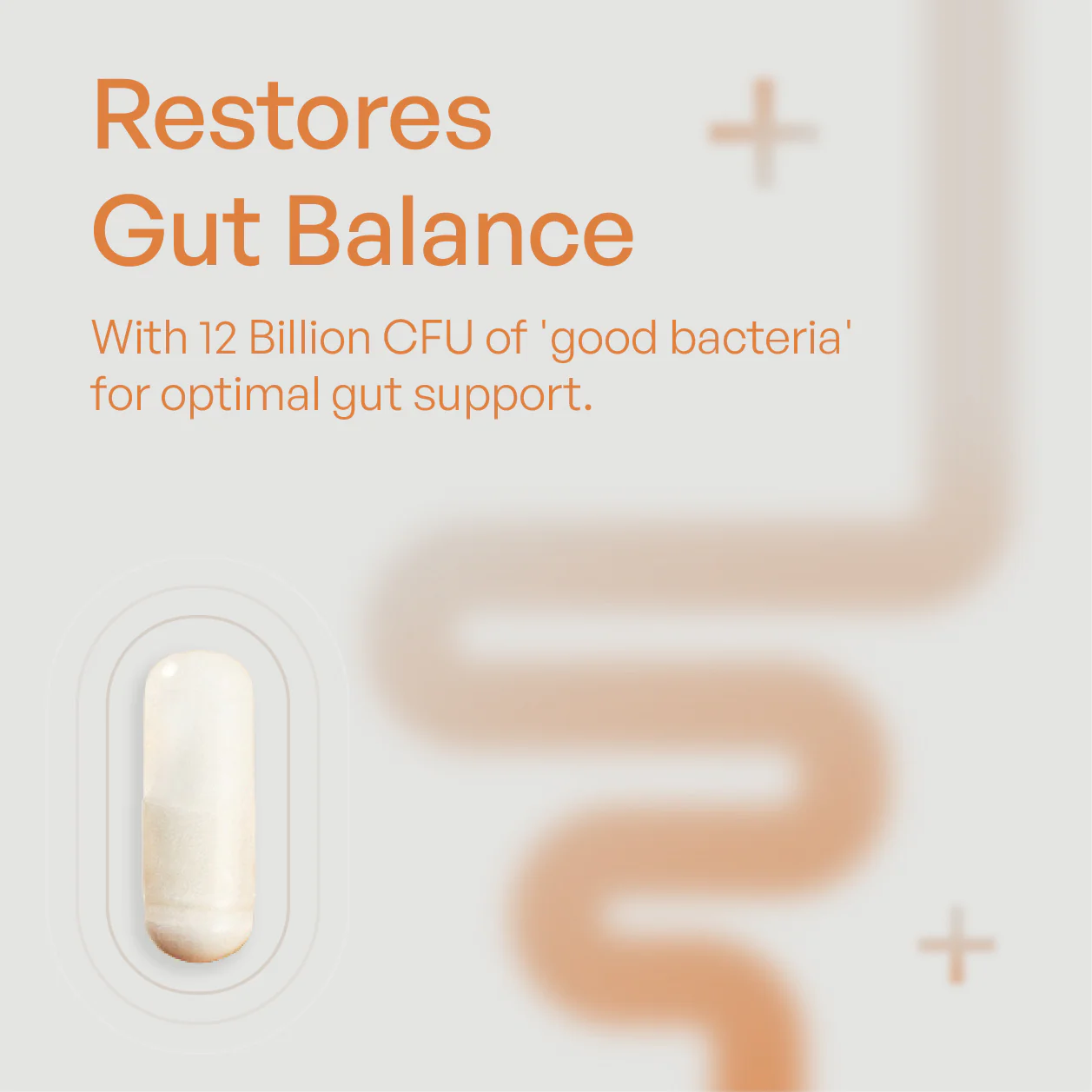 Probiotic - Image 3