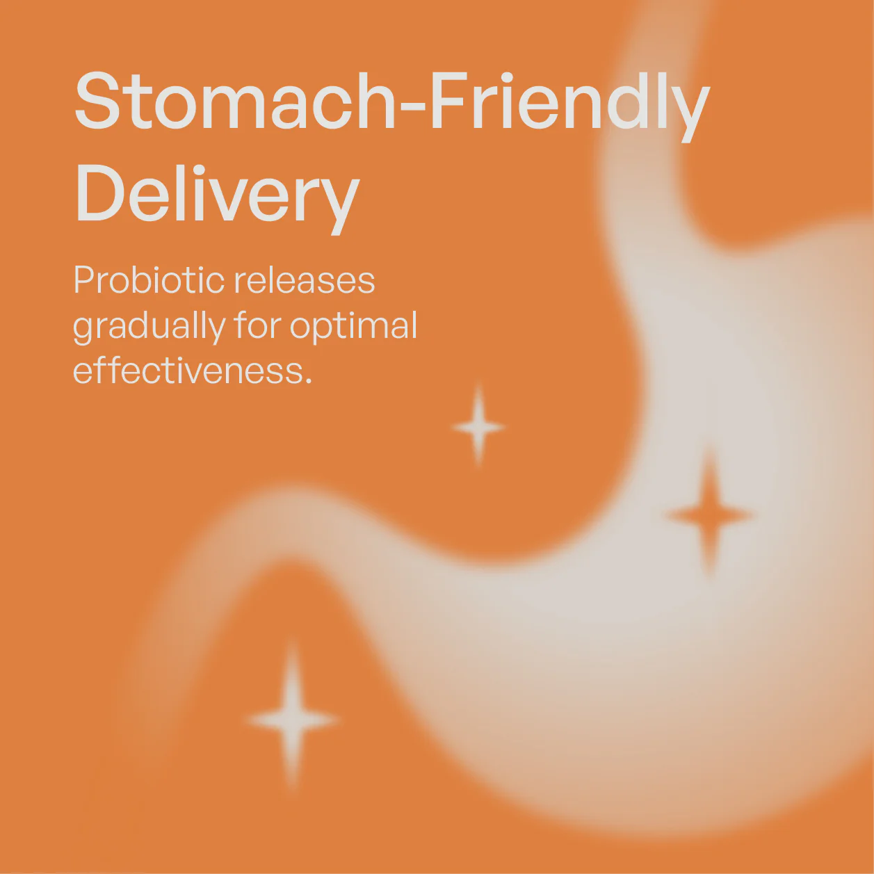 Probiotic - Image 4