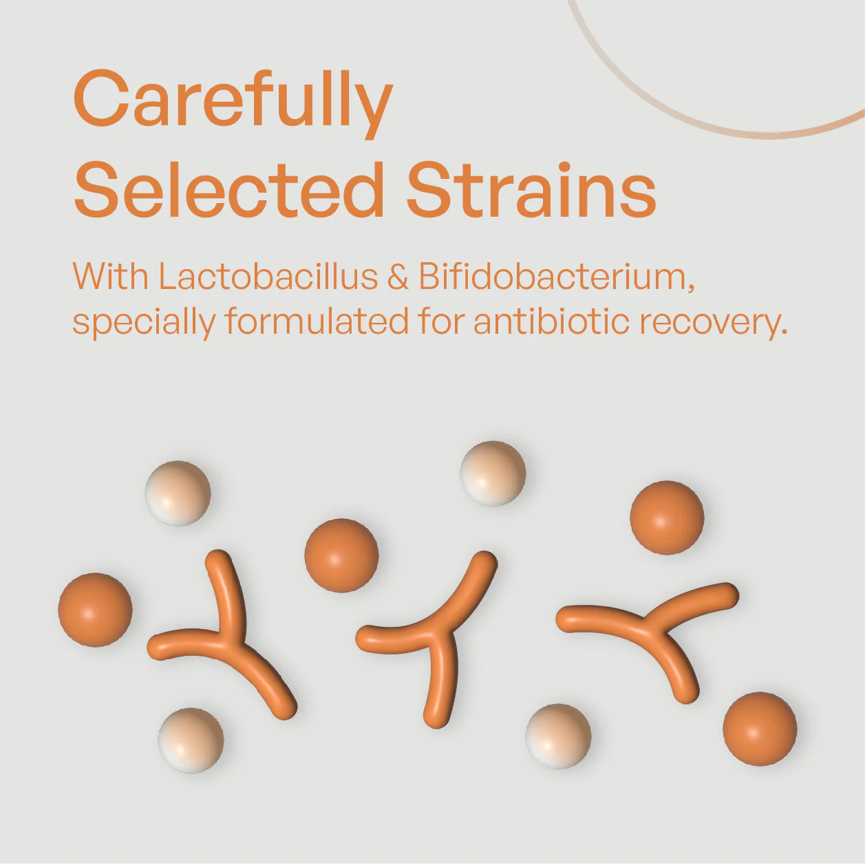 Probiotic - Image 7