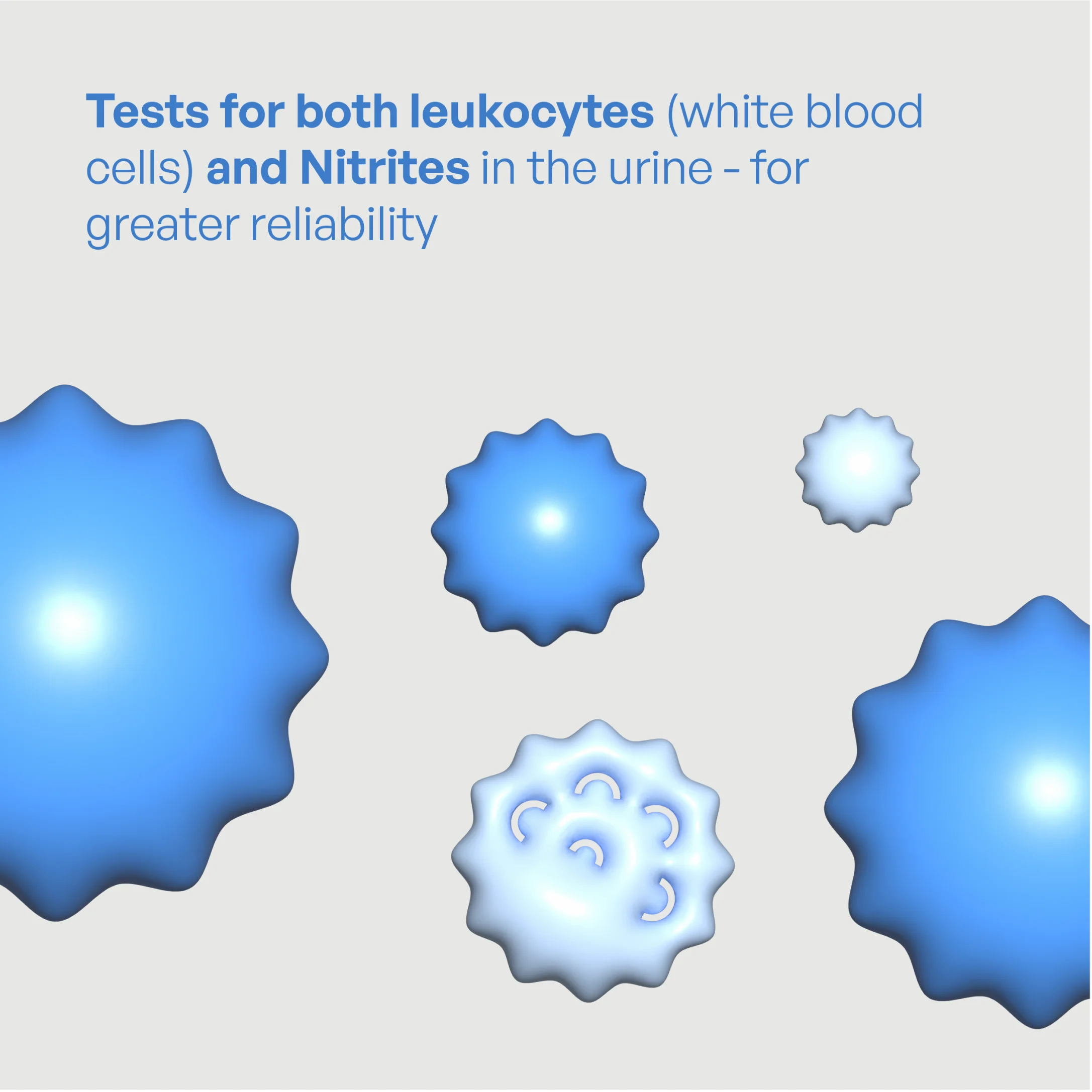 UTI Diagnostic Test Strips - Image 4